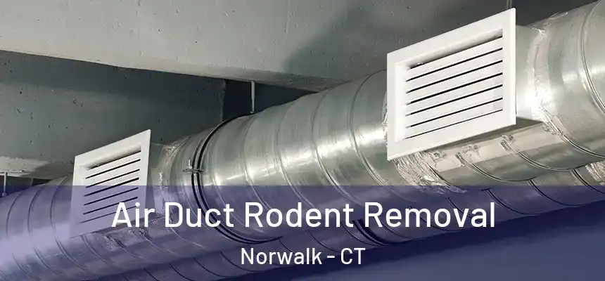 Air Duct Rodent Removal Norwalk - CT