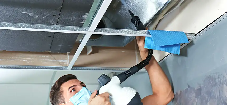 Our Air Duct Rodent Removal Services in Norwalk, CT