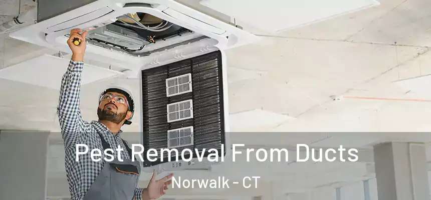 Pest Removal From Ducts Norwalk - CT