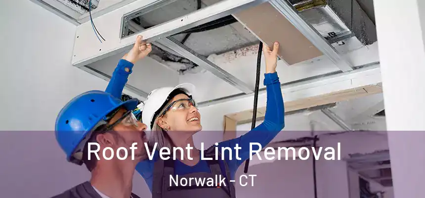 Roof Vent Lint Removal Norwalk - CT