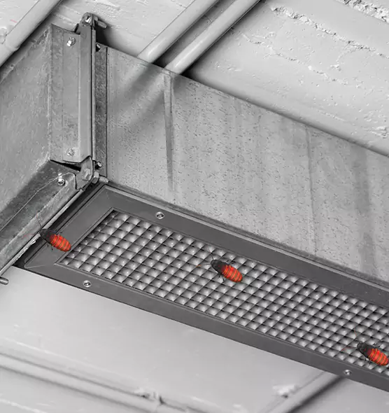 About Air Duct Cockroach Removal in Norwalk, CT