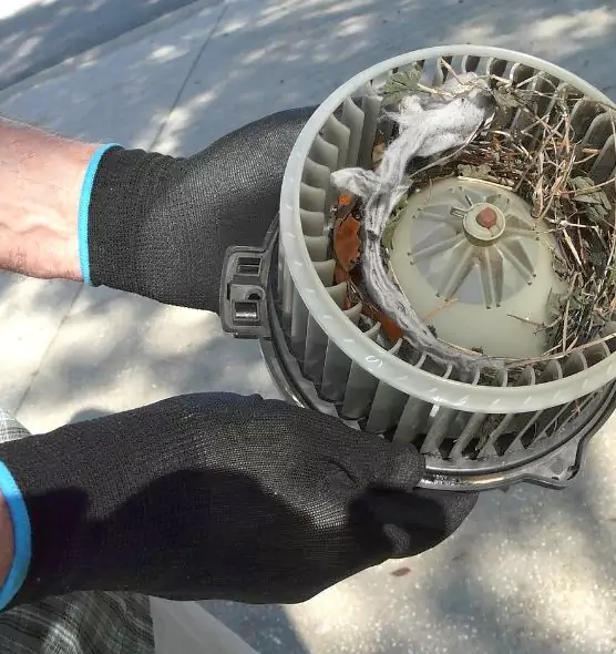 About Air Duct Mice Removal in Norwalk, CT