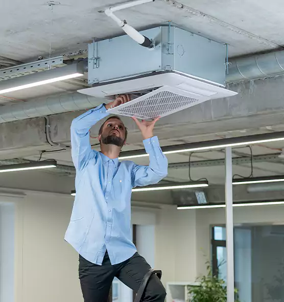 Advanced Rodent Droppings In Vents in Norwalk, CT