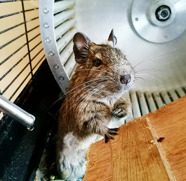 Why Homeowners & Businesses Trust Us Norwalk, CT?